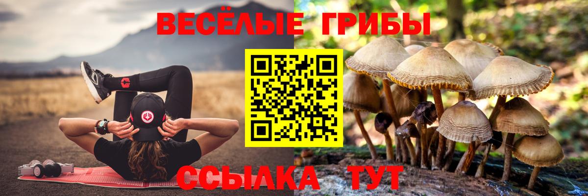 Галлюциногенные грибы прущие грибы Городец